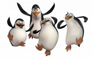Раскраска пингвины из мадагаскара #5 #439964