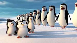 Раскраска пингвины из мадагаскара #25 #439984