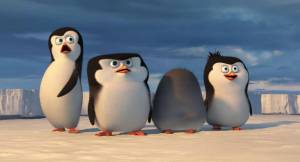 Раскраска пингвины из мадагаскара #30 #439989