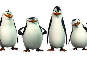 Раскраска пингвины из мадагаскара #38 #439997