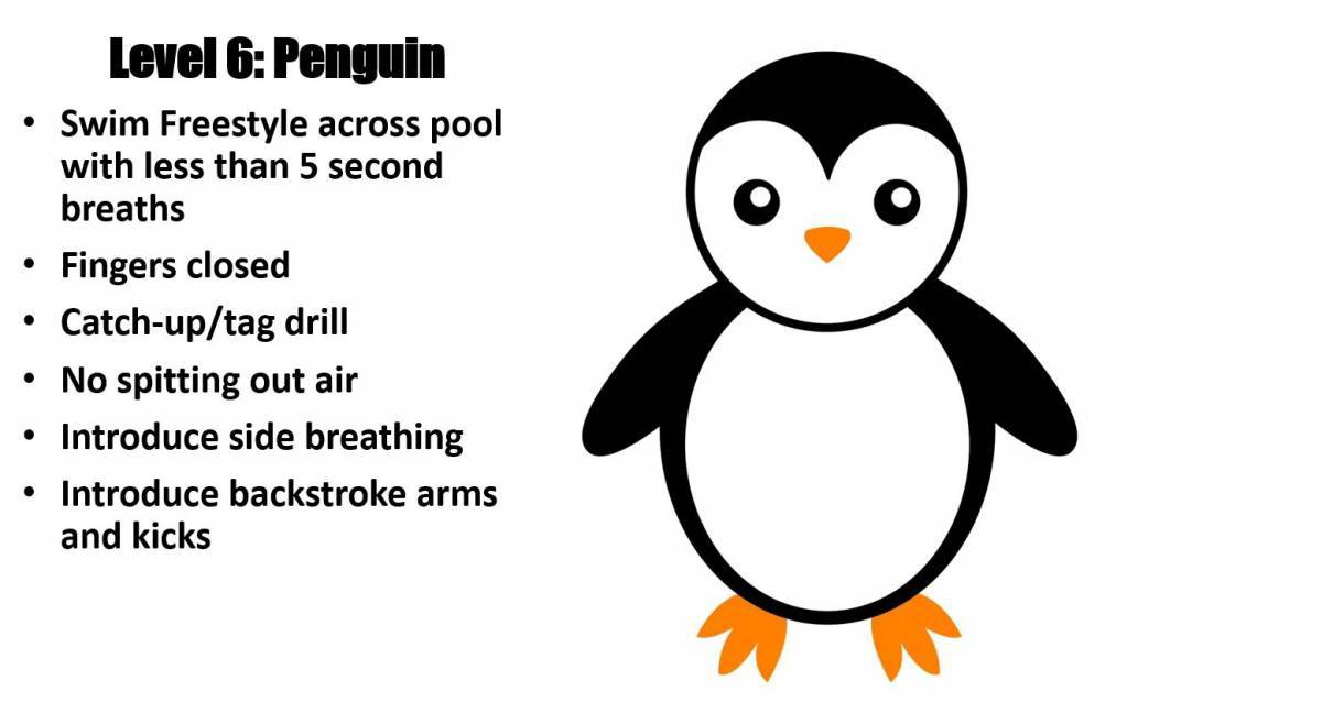 Пингвин для детей 4 5 лет #16