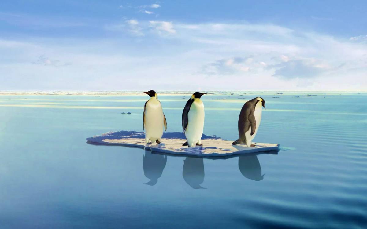 Пингвин на льдине #13