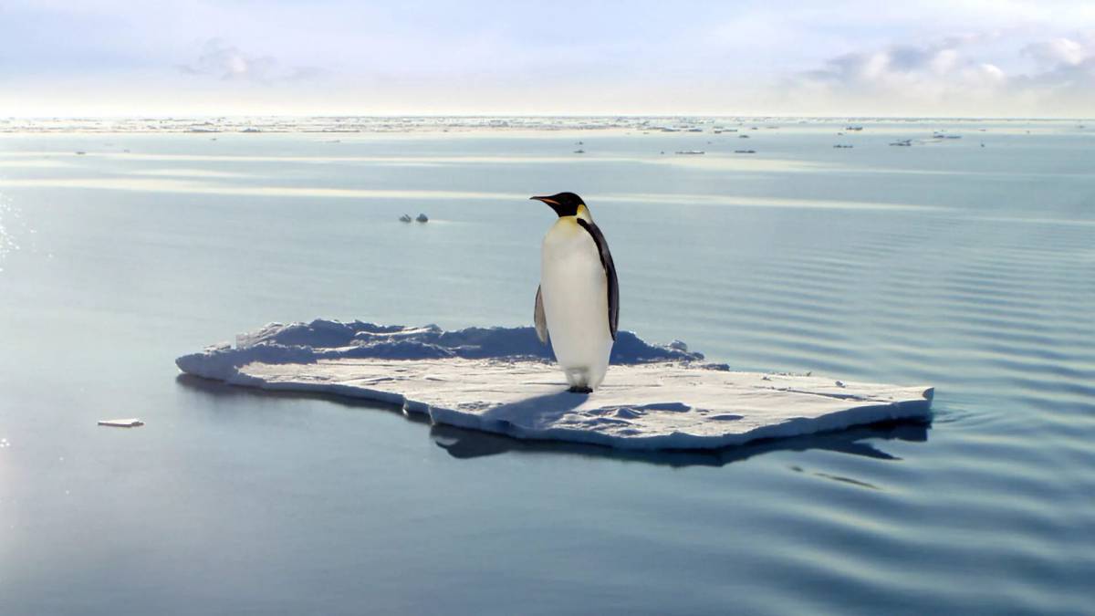 Пингвин на льдине #28