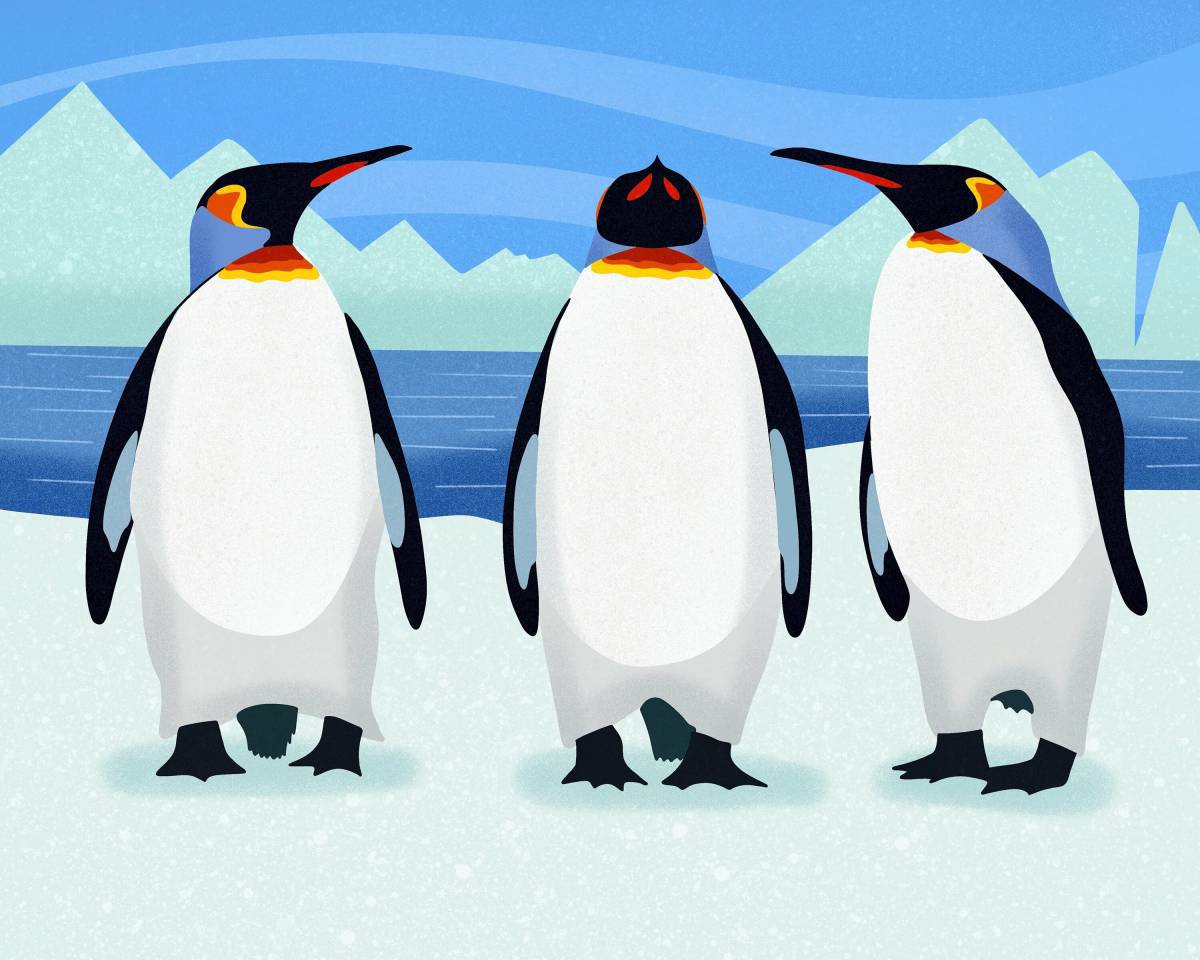 Пингвины для детей 5 6 лет #6