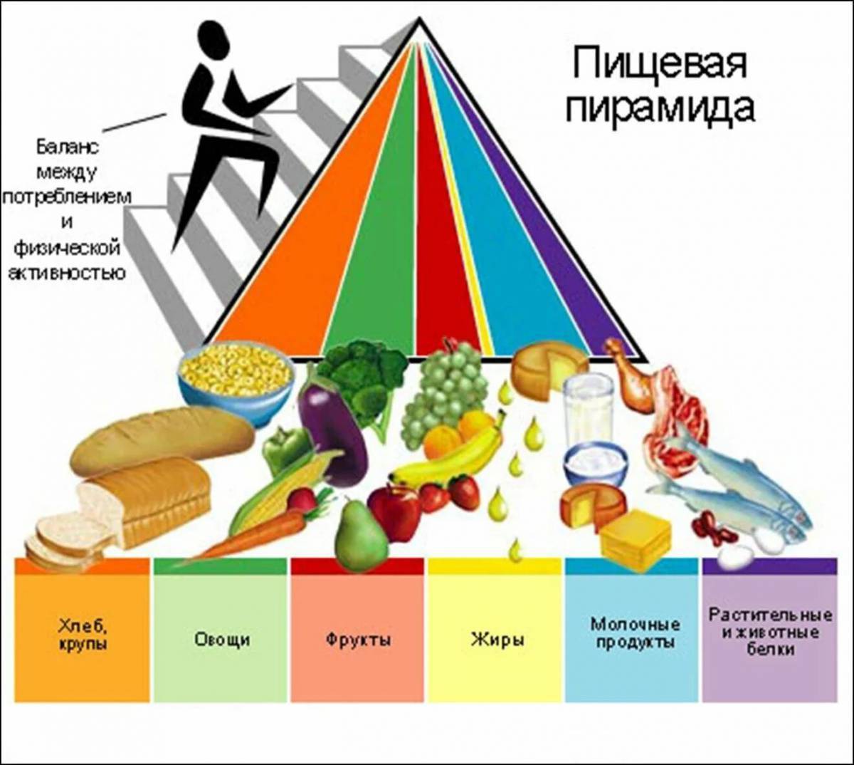 Пирамида витаминов картинка