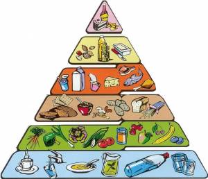 Раскраска пирамида питания #2 #440359