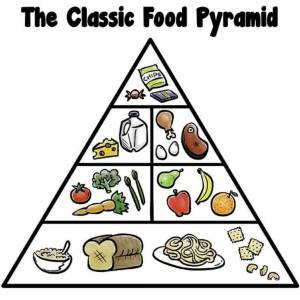 Раскраска пирамида питания #3 #440360