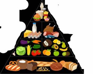 Раскраска пирамида питания #6 #440363