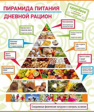 Раскраска пирамида питания #9 #440366