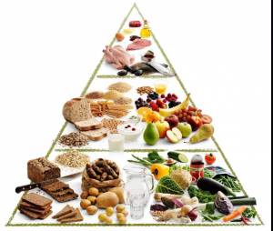 Раскраска пирамида питания #10 #440367