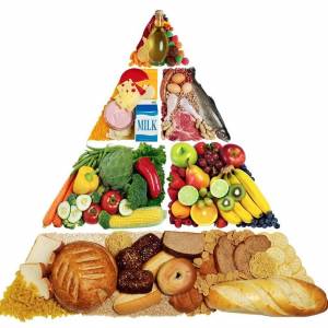 Раскраска пирамида питания #11 #440368