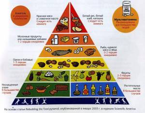 Раскраска пирамида питания #18 #440375
