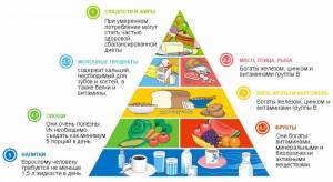 Раскраска пирамида питания #21 #440378