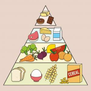 Раскраска пирамида питания #22 #440379
