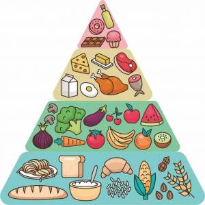 Раскраска пирамида питания #28 #440385