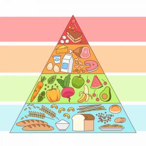 Раскраска пирамида питания #35 #440392