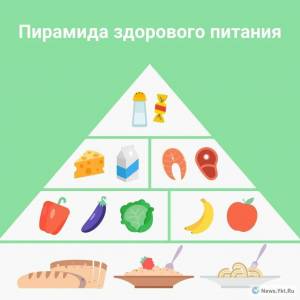 Раскраска пирамида питания #37 #440394