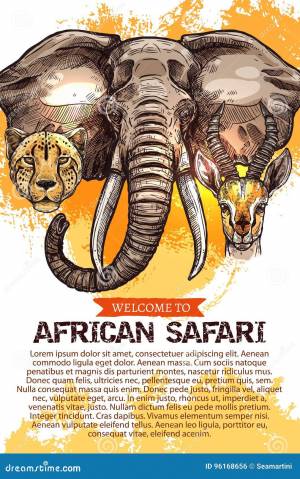 Раскраска плакат африканское сафари #6 #441808