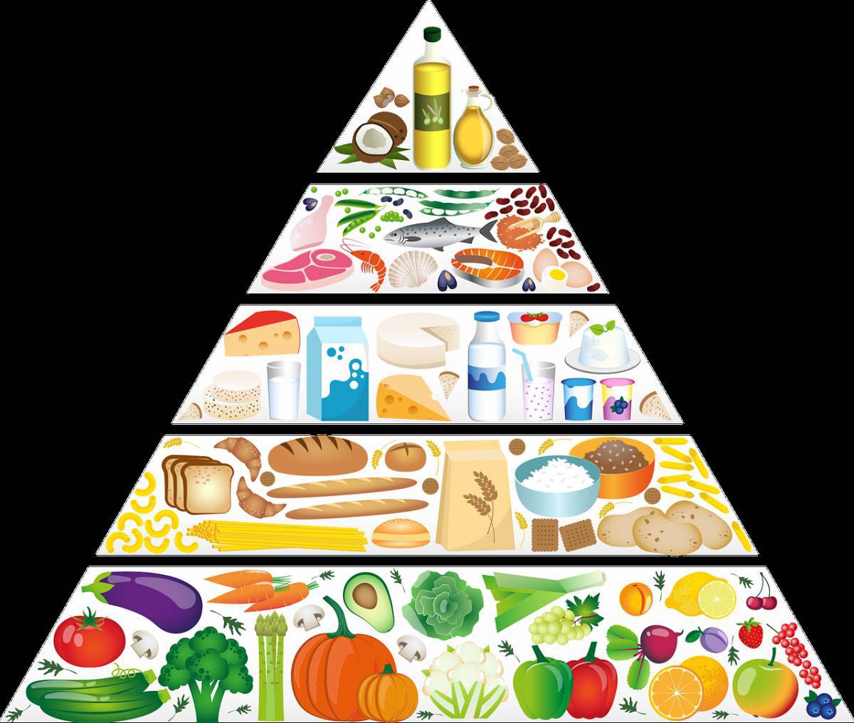 Пирамида питания #8