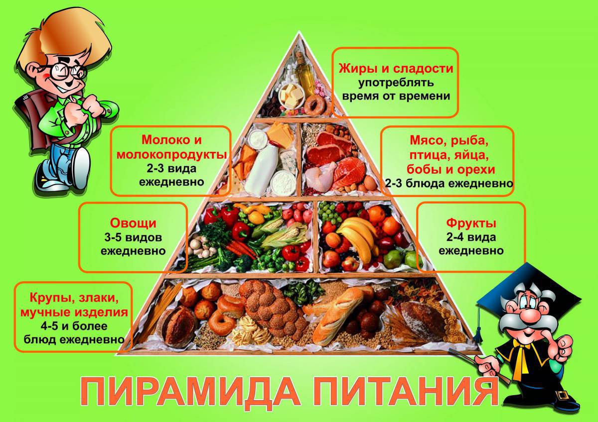 пирамида продуктов