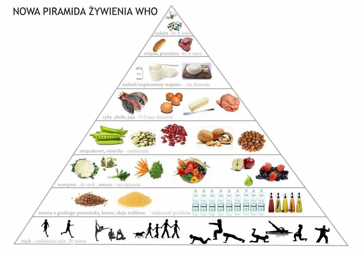 Пирамида питания #20