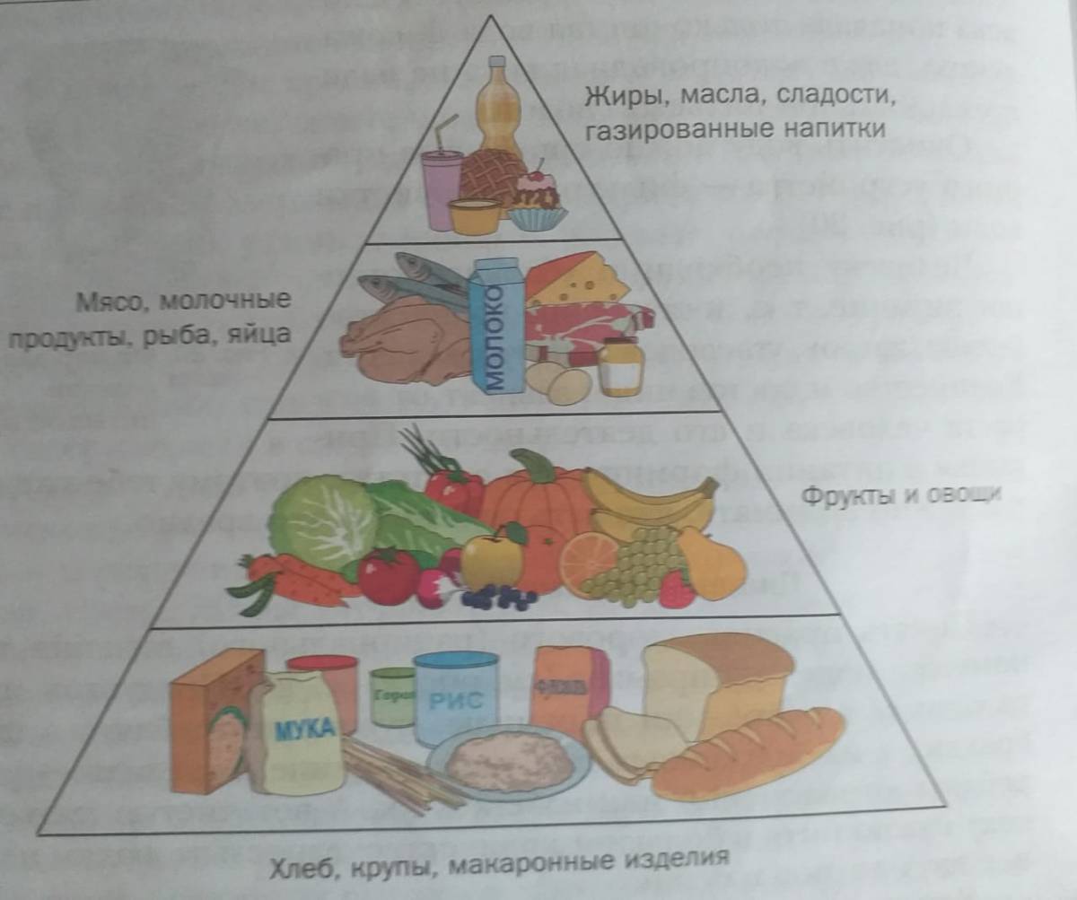 пирамида питания