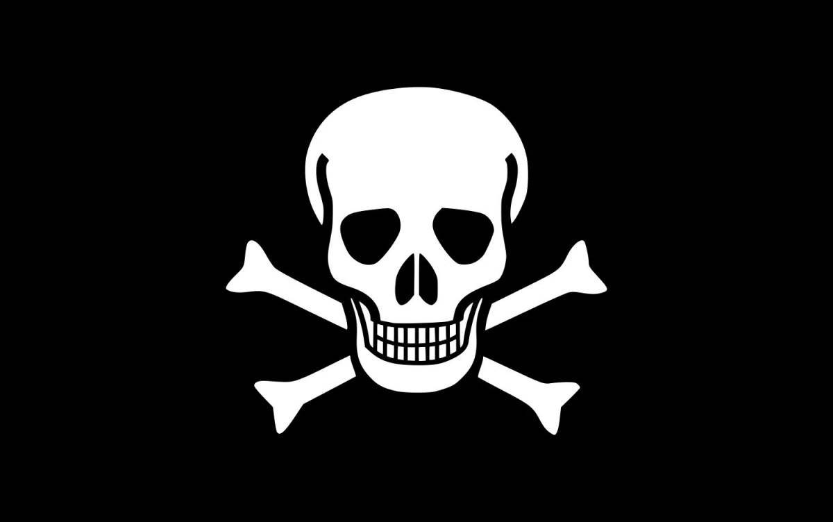 Пиратский флаг #18