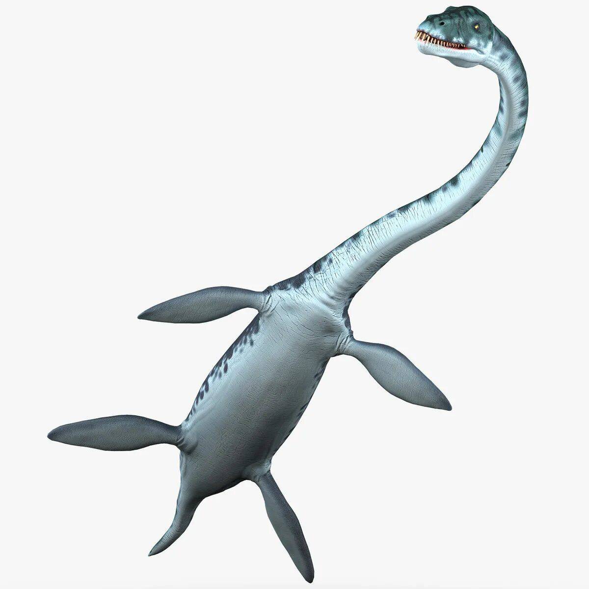 Плезиозавр #9