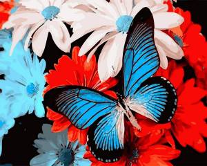 Раскраска по номерам бабочка #15 #444498
