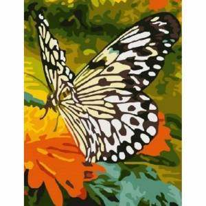 Раскраска по номерам бабочка #18 #444501