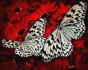 Раскраска по номерам бабочка #36 #444519
