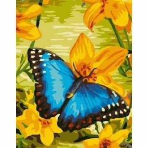 Раскраска по номерам бабочка #39 #444522