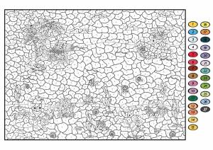 Раскраска по номерам для всех взрослых сложные #16 #445096
