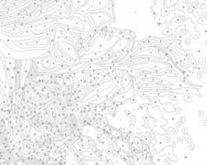 Раскраска по номерам для всех взрослых сложные #28 #445108