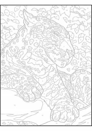 Раскраска по номерам для всех взрослых сложные #29 #445109