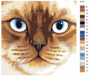 Раскраска по номерам кошка #12 #446058