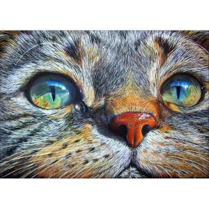 Раскраска по номерам кошка #18 #446064