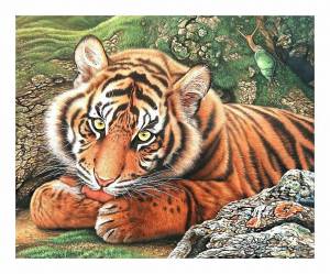 Раскраска по номерам тигр #7 #447394