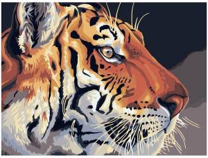 Раскраска по номерам тигр #8 #447395