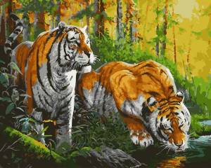 Раскраска по номерам тигр #10 #447397