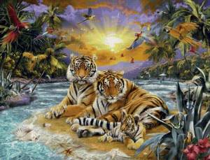 Раскраска по номерам тигр #19 #447406