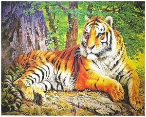 Раскраска по номерам тигр #22 #447409