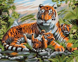 Раскраска по номерам тигр #26 #447413