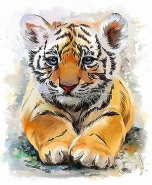 Раскраска по номерам тигр #28 #447415