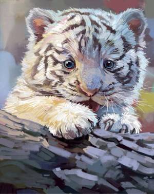 Раскраска по номерам тигр #30 #447417