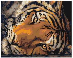 Раскраска по номерам тигр #36 #447423