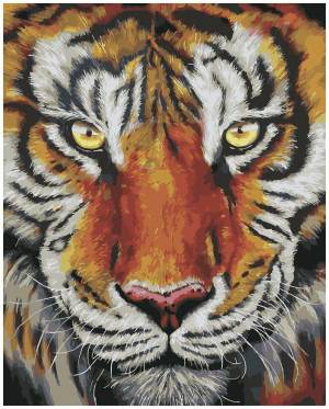 Раскраска по номерам тигр #39 #447426