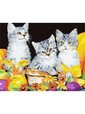 Раскраска по номерам три кота #3 #447429