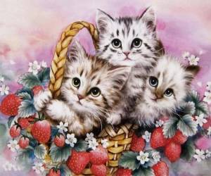 Раскраска по номерам три кота #5 #447431