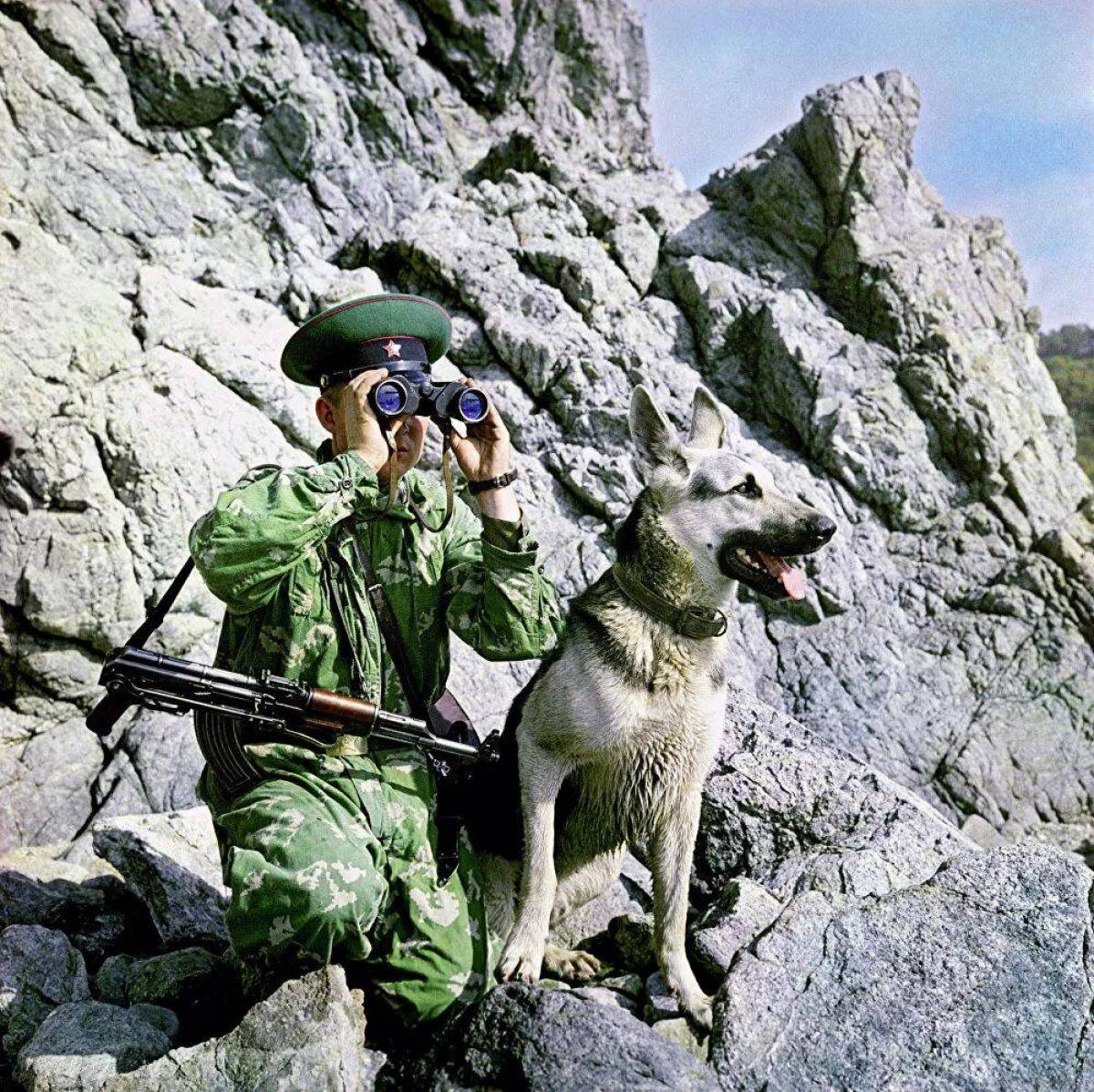 Пограничник. Пограничник с собакой. Пограничные войска. Пограничники России.